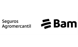 LogoBamGuatemala.png